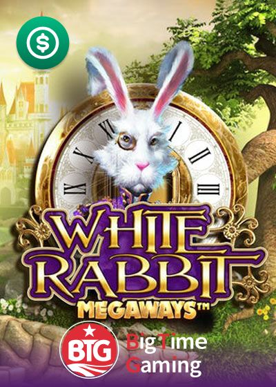 White Rabbit
