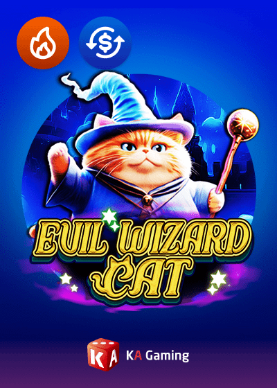 Evil Wizard Cat